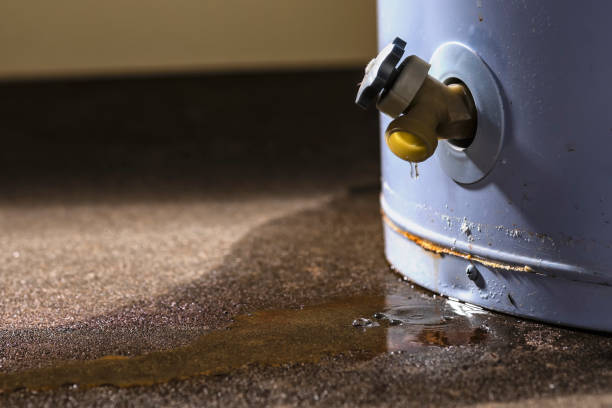 Best Water damage restoration cost  in Bolinas, CA