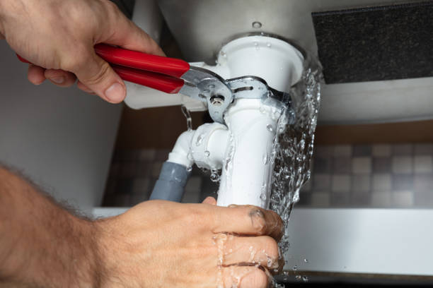 Best Basement water damage restoration  in Bolinas, CA