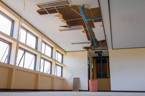 Best Sewage cleanup and water damage restoration  in Bolinas, CA