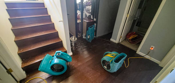 Best Carpet water damage restoration  in Bolinas, CA