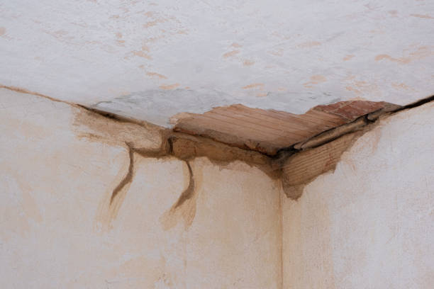 Best Ceiling water damage repair  in Bolinas, CA