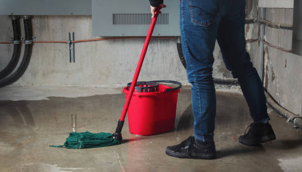 Best 24/7 water damage repair  in Bolinas, CA