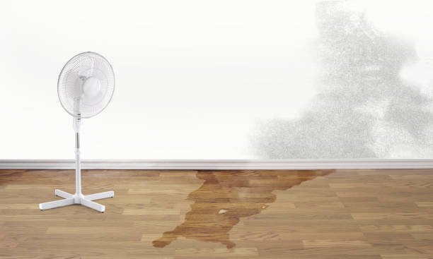 Best Water damage restoration insurance claims  in Bolinas, CA