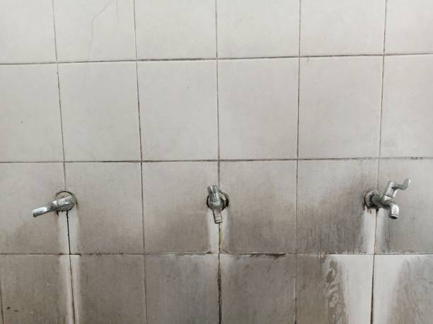 Best 24-hour water damage restoration  in Bolinas, CA