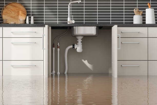 Best Basement water damage restoration  in Bolinas, CA