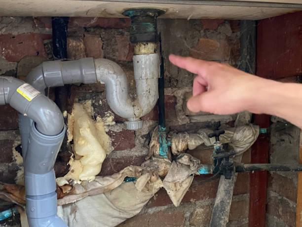 Best Flood damage cleanup  in Bolinas, CA