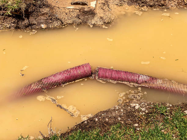 Best Carpet water damage restoration  in Bolinas, CA