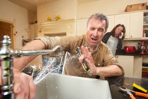Best Flooded house restoration  in Bolinas, CA